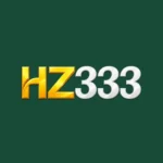 HZ333 GAME