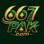 677PAK game