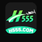 H555 game