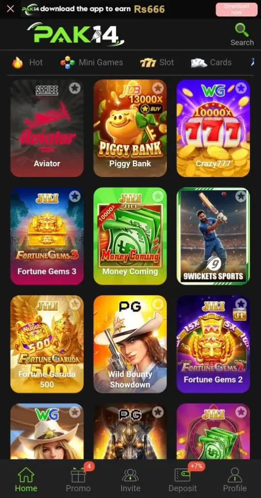 Pak14 game interface
