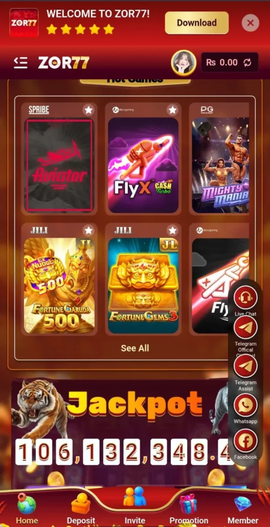 ZOR77 game interface