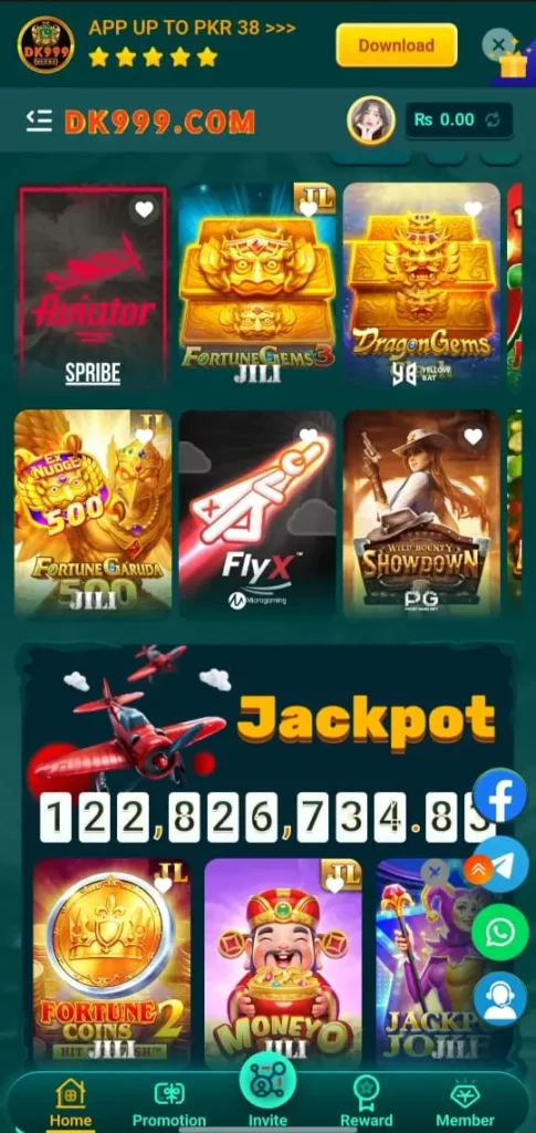 DK999 game interface